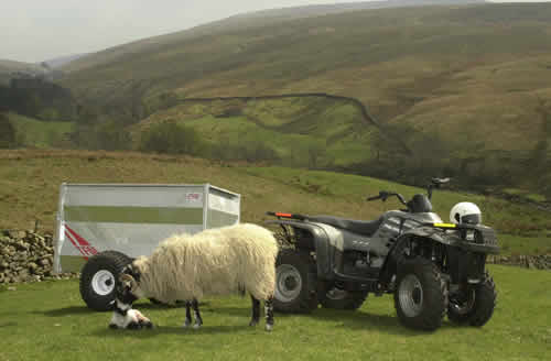 Sheep Trailer